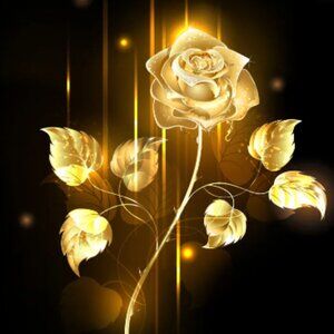 Meet your Posher, Diana